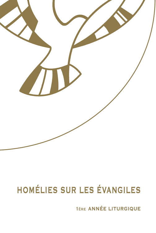 Hom&eacute;lies sur les &eacute;vangiles &ndash; 1&egrave;me ann&eacute;e liturgique - ranskank. Evankeliumipostilla 1
